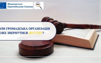 Коли громадська організація може звернутися до суду?