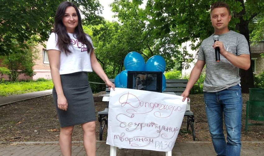 Безпритульні тварини це проблема всіх мешканців міста