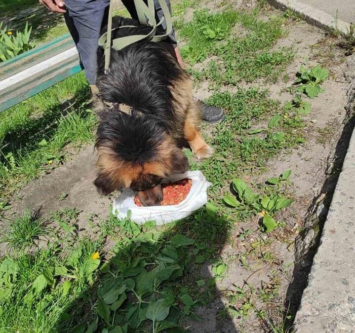 Продолжаем кормить маленьких друзей